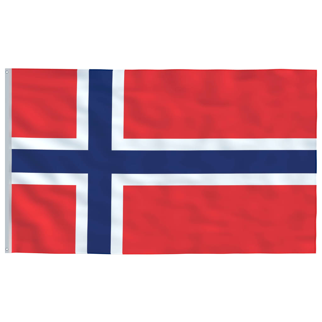 vidaXL norsk flag og flagstang 6,2 m aluminium