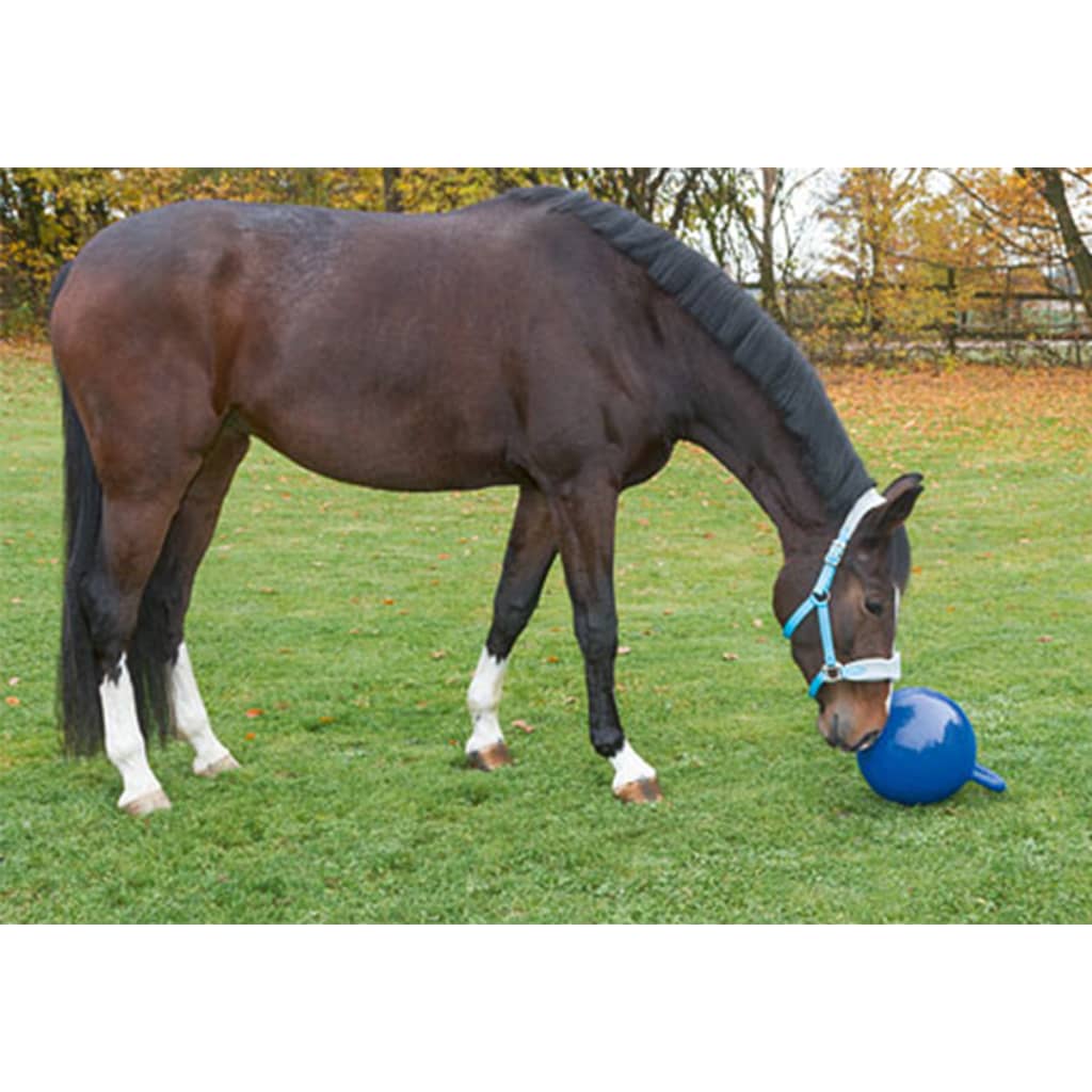 Kerbl legebold til heste blå 25 cm 32399