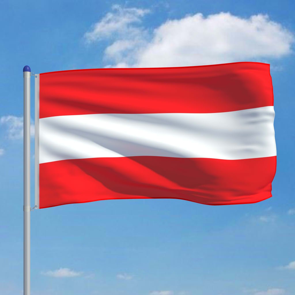 vidaXL Østrigs flag og flagstang 6 m aluminium