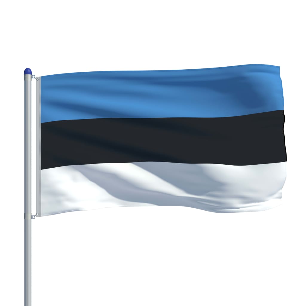 vidaXL Estlands flag og flagstang 6 m aluminium