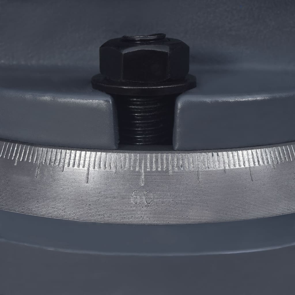 vidaXL skruestik på drejeplade støbejern 100 mm