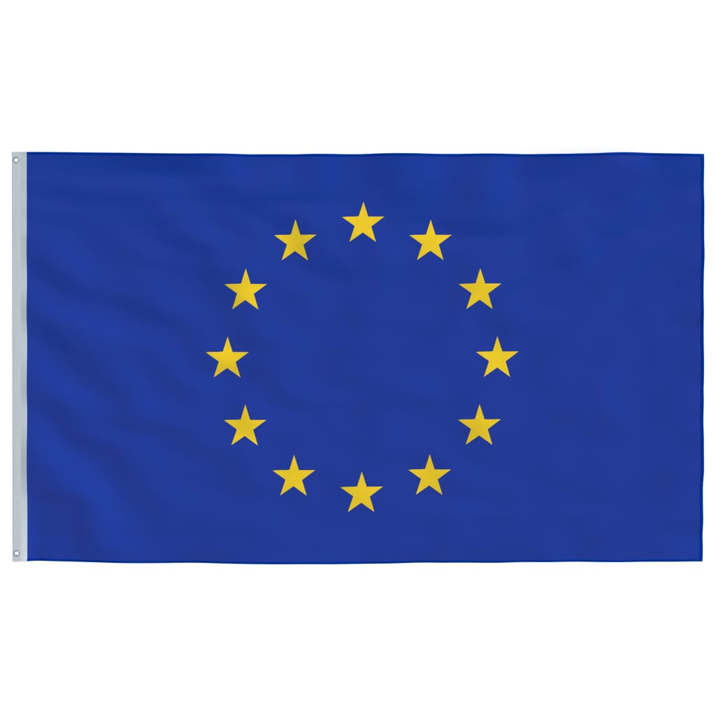 vidaXL Europaflag og flagstang 6,23 m aluminium