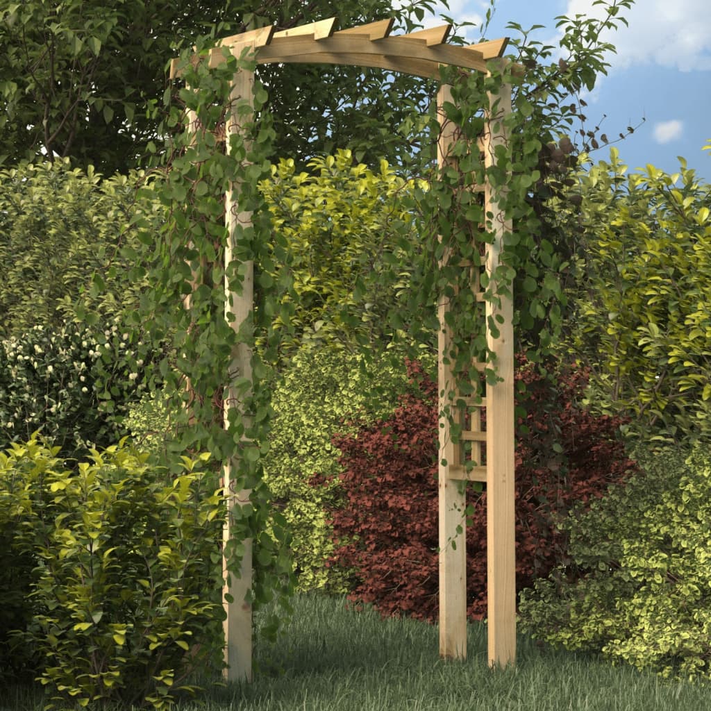 vidaXL havebue med espalier 110x60x220 cm imprægneret massivt fyrretræ