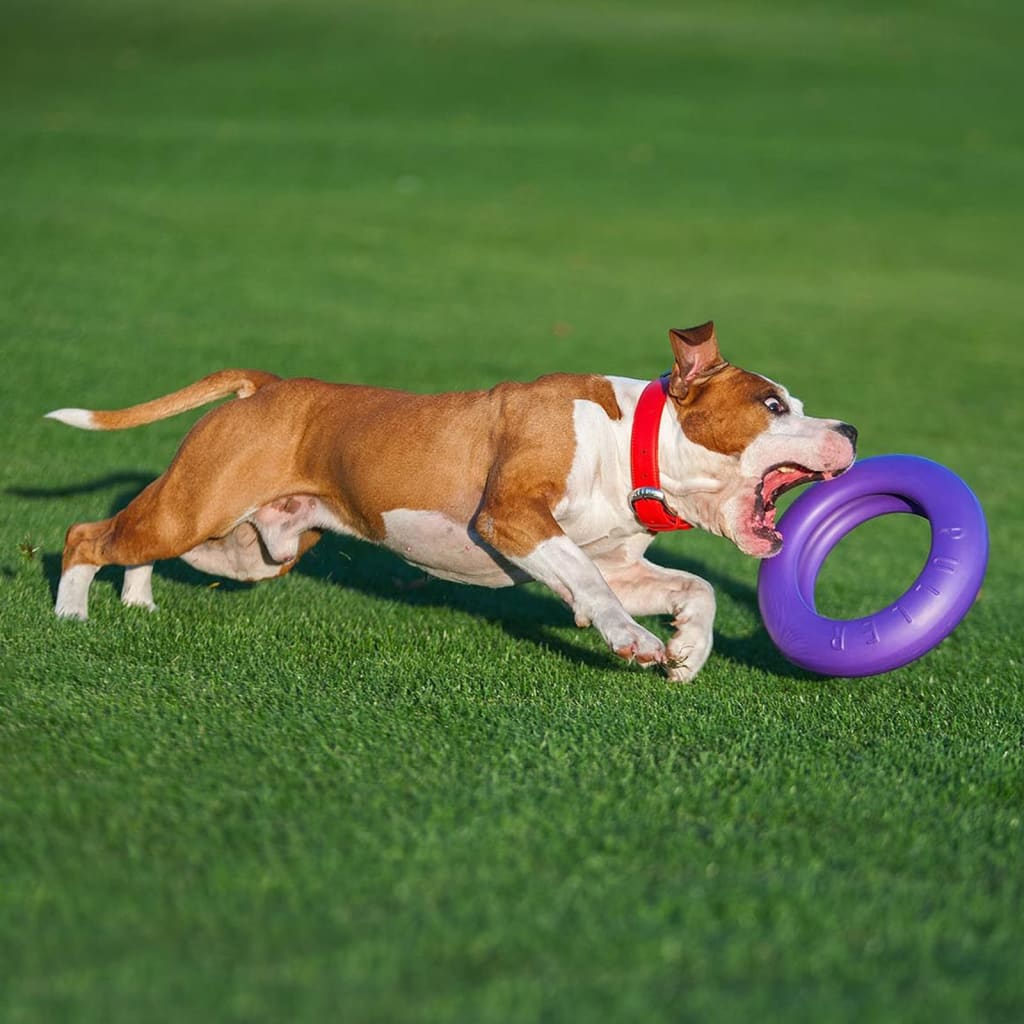 Ferplast aktivitetslegetøj til hund Puller Maxi lilla